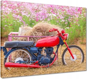 Vászonkép 50x40 Piros motorkerékpár Virágok
