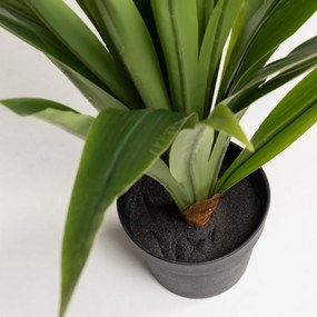 Műnövény (magasság 80 cm) Yucca – Kave Home
