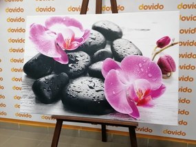 Kép orchidea és fekete kövek csodás összhangja