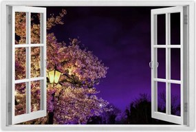 Poszterek 60x40 Éjszakai motívum a nappaliba