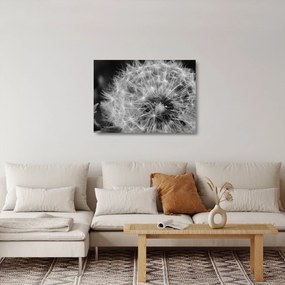 Kép - pitypang pehely (üvegen) (70x50 cm)
