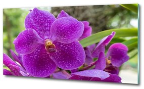 Egyedi üvegkép Orchidea osh-64607986