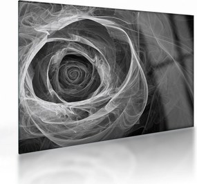 Üveg kép - Absztrakt rózsa fekete-fehér (70x50 cm)