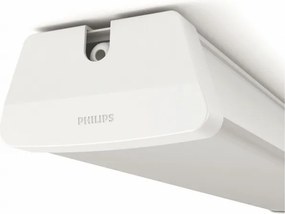 Philips 31247/31/P3 - LED Ipari lámpa AQUALINE LED/50W/230V IP65 4000K