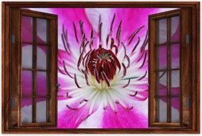 Poszterek 120x80 Fehér-lila szirmok