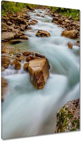 Vászonkép 80x120 Hegyi patak
