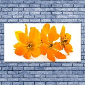 Akril üveg kép Orange növény virágai 100x50 cm