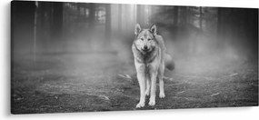 Kép - erdő őr, fekete-fehér (120x50 cm)