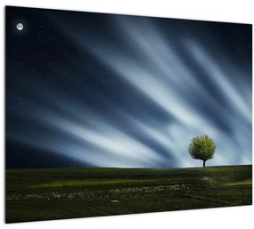 Az aurora borealis képe egy lápvidéken (üvegen) (70x50 cm)