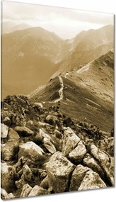 Vászonkép 80x120 Tátra Lengyel hegyek Kilátás