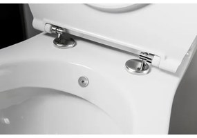 Sapho - kombinált WC kézi bidézuhannyal, hátsó kifolyással, kerámia/fehér