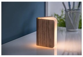 Barna USB fénydekoráció Booklight – Gingko