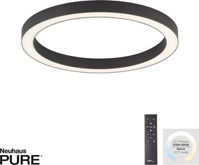 Paul Neuhaus modern mennyezeti lámpa pure-lines antracit pln6309-13