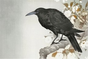 Flizelin fotótapéta Flizelin Design Holló virágokkal 104x70