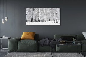 Canvas képek Téli nyírfák 120x60 cm