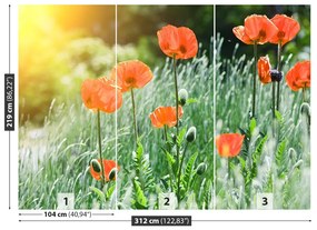 Fotótapéta mák virágok 104x70 cm