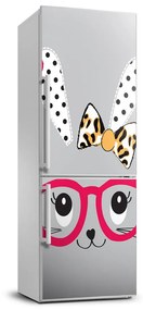 Hűtőre ragasztható matrica Nyúl szemüveg FridgeStick-70x190-f-77476697