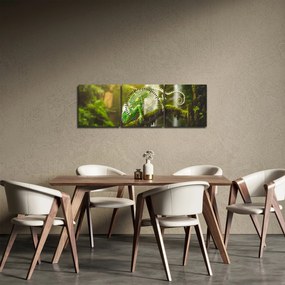 Gyík képe (órával) (90x30 cm)