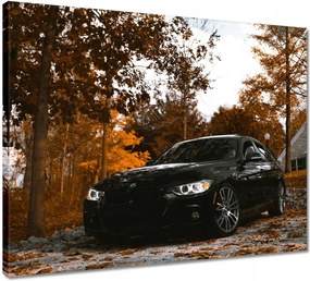 Vászonkép 50x40 Fekete Bmw Ősz