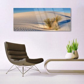 Üvegfotó Fekvő sivatagi homok 120x60cm