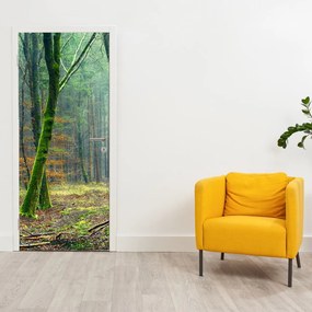 Fotótapéta ajtóra - Erdő (95x205cm)