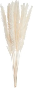 FLOWER MARKET mini pampafű csokor, fehér 30 cm