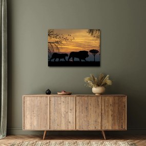 Safari képe (70x50 cm)