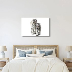 Kép - A fehér tigris (90x60 cm)