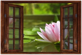 Poszterek 60x40 Vízi liliom