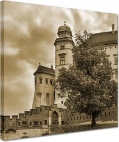 Vászonkép 30x30 Krakkó Wawel Műemlékek