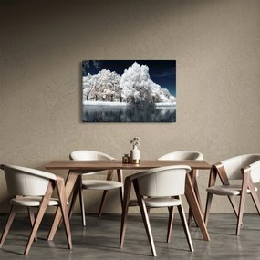 Kép - Hófehér fák (90x60 cm)