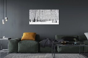 Canvas képek Téli nyírfák 125x50 cm