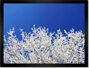 Poszterek keretben 40x30 Téli fa Dér Hó