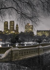 Poszter 39,5x55cm Központi park Manhattan panorámával, Assaf Frank