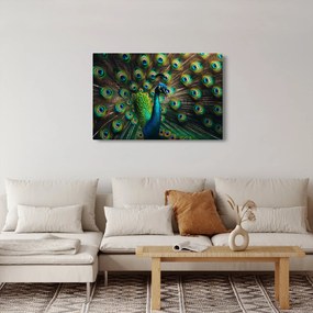 Kép – Pávatoll (90x60 cm)