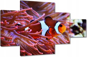 Vászonkép 130x80 Narancssárga hal Rafa