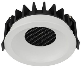 Nexus LED