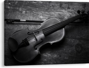 Kép - Viola (70x50 cm)