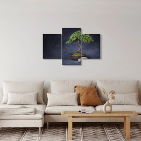 Kép - Bonsai (90x60 cm)