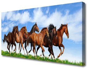 Canvas kép Vágtázó lovak legelő 125x50 cm