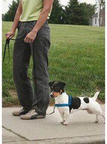 PetSafe Hám EasyWalk Deluxe kék M-es méret