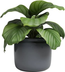 Kerámia kézzel készített virágcserép ø 20 cm Astrea – Artevasi