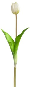 LEONARDO SAVONA tulipán 36cm, fehér