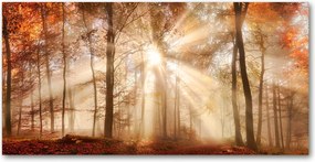 Fotó üvegkép Köd az erdőben ősz 140x70