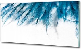Fotó üvegkép Kék tollak 125x50