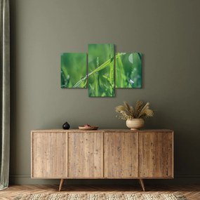 Harmat cseppek képe (90x60 cm)