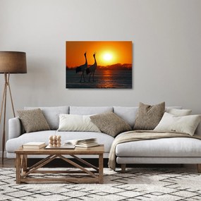 Madarak képe naplementekor (üvegen) (70x50 cm)