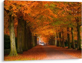 Kép - A Avenue of fák ősszel (70x50 cm)