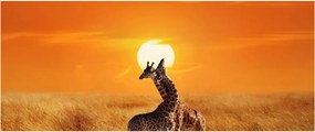 Kép - Zsiráfok a Serengeti Nemzeti Parkban (120x50 cm)