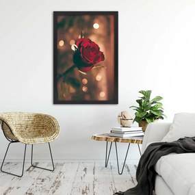 Gario Poszter Piros rózsa virág A keret színe: Fehér, Méret: 40 x 60 cm